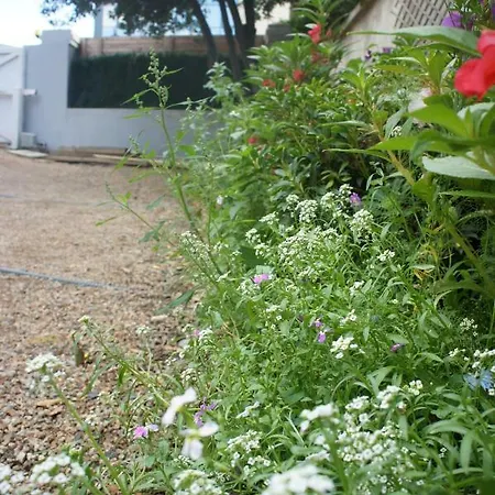 酒店 普拉得尔泳池别墅住宿加早餐旅馆