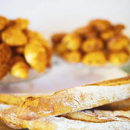 普拉得尔泳池别墅住宿加早餐旅馆 酒店 克莱蒙费朗