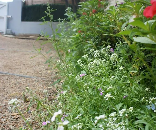Hotel Pradelle Et Swimming Pool
